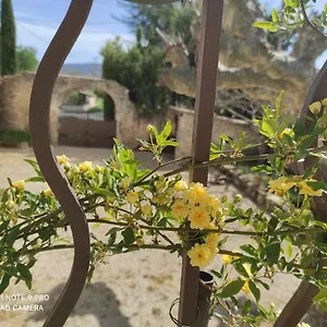 Entre Blé Et Lavande Appartement Bonnieux